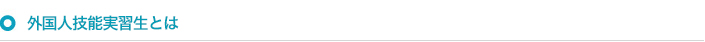 外国人技能実習生とは